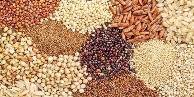 A group of different types of grains AI-generated content may be incorrect.